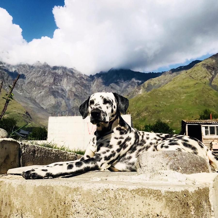 Vache Hotel Kazbegi Εξωτερικό φωτογραφία