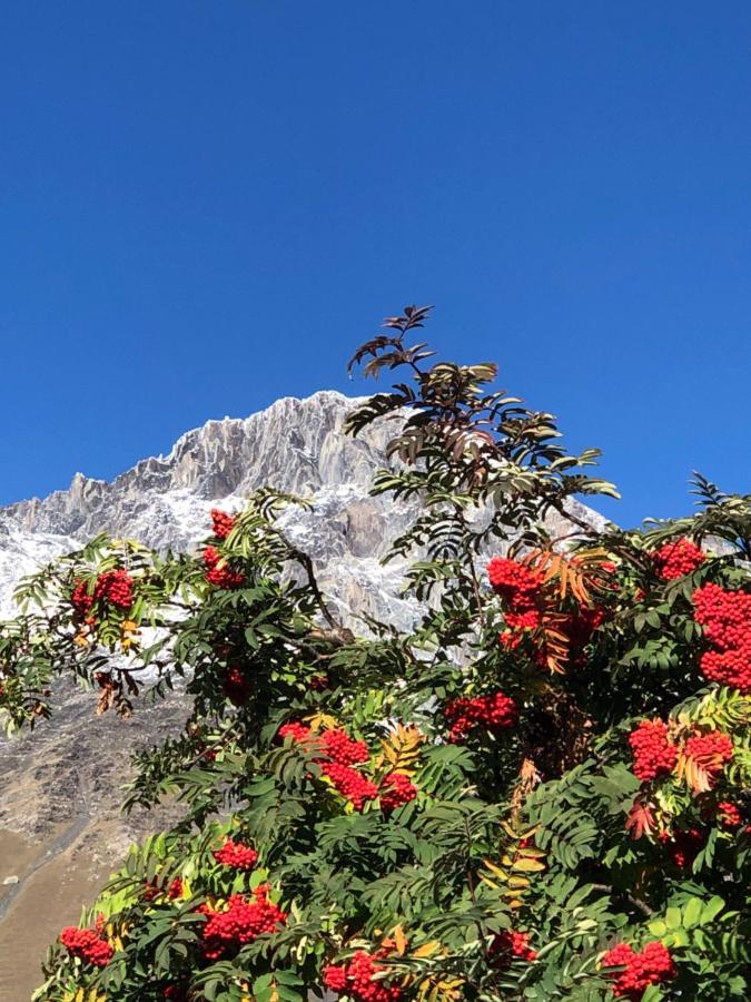 Vache Hotel Kazbegi Εξωτερικό φωτογραφία